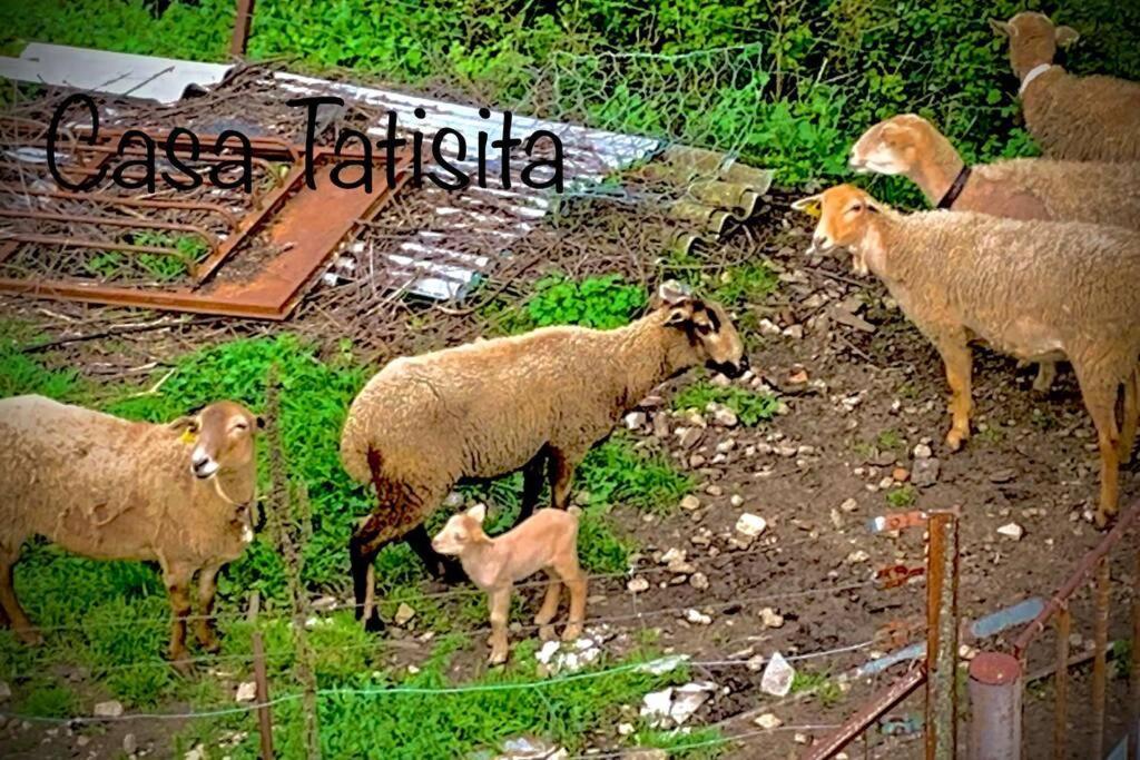 דירות סגורה דה לה סיירה Casa Tatisita Buhardilla מראה חיצוני תמונה