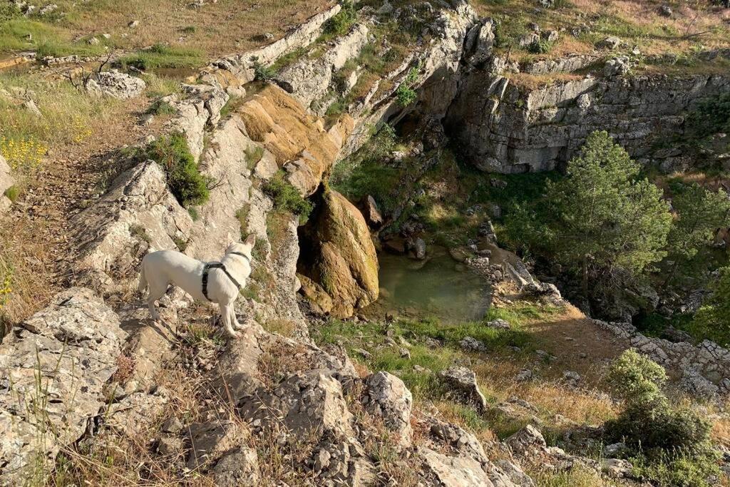 דירות סגורה דה לה סיירה Casa Tatisita Buhardilla מראה חיצוני תמונה